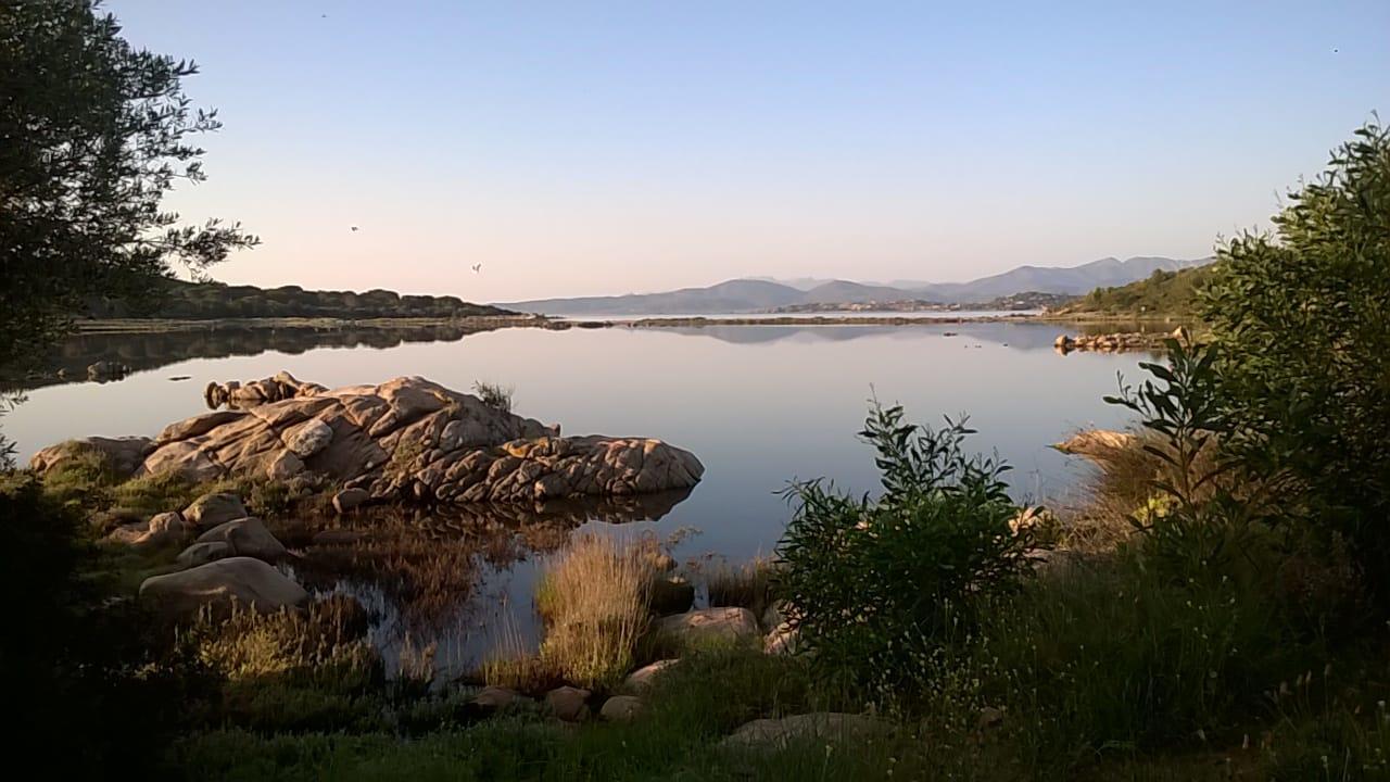 Residence Porto Coda Cavallo San Teodoro  Exterior foto